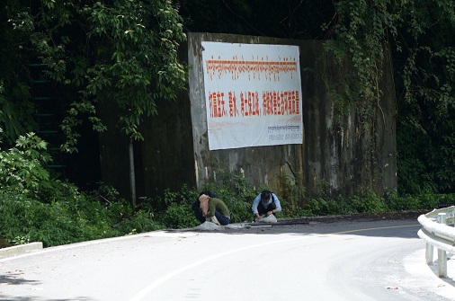 扫网采集 扫网采集